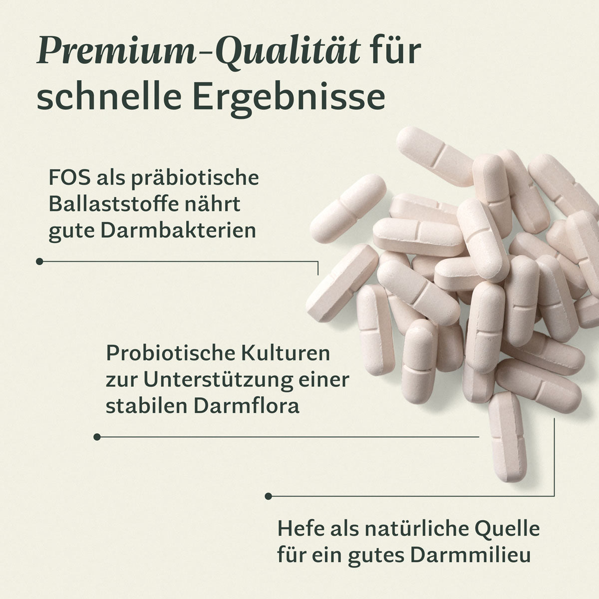 animero essentials GUT – Prä- & Probiotika-Tabletten, Hund & Katze