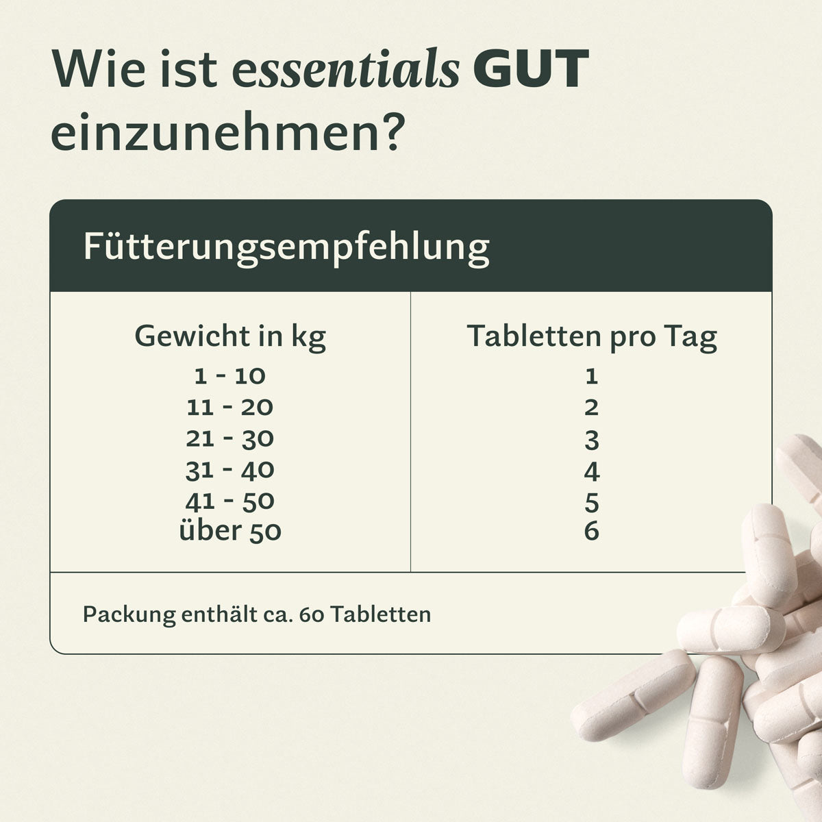 animero essentials GUT – Prä- & Probiotika-Tabletten, Hund & Katze